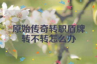 原始传奇转职盾牌转不转怎么办