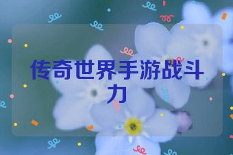 传奇世界手游战斗力