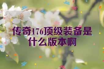 传奇176顶级装备是什么版本啊