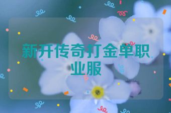 新开传奇打金单职业服