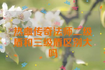 热血传奇法师二级盾和三级盾区别大吗