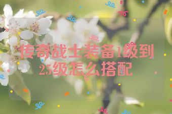 传奇战士装备1级到25级怎么搭配