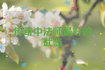 传奇中法师最好的武器