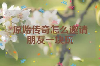 原始传奇怎么邀请朋友一块玩