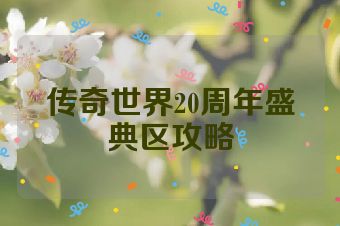 传奇世界20周年盛典区攻略