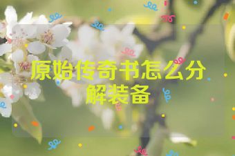 原始传奇书怎么分解装备