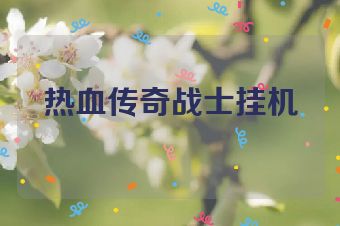 热血传奇战士挂机