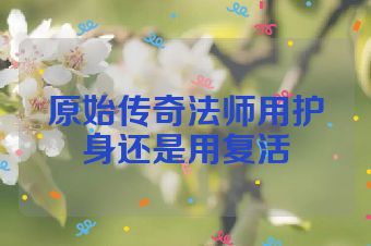 原始传奇法师用护身还是用复活