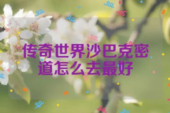 传奇世界沙巴克密道怎么去最好