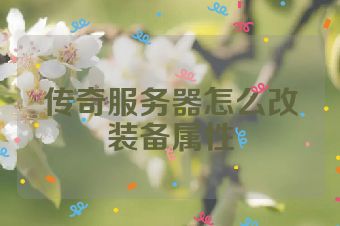 传奇服务器怎么改装备属性