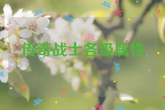 传奇战士各级属性