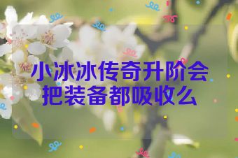小冰冰传奇升阶会把装备都吸收么