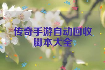 传奇手游自动回收脚本大全