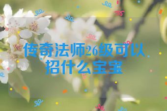 传奇法师26级可以招什么宝宝