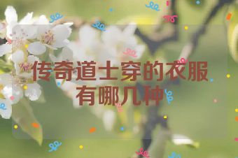 传奇道士穿的衣服有哪几种