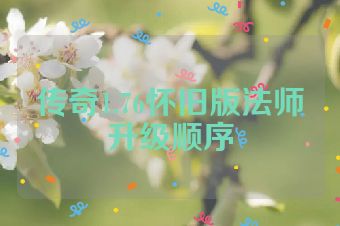 传奇1.76怀旧版法师升级顺序