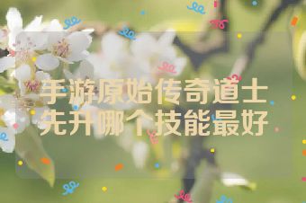 手游原始传奇道士先升哪个技能最好