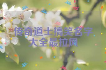 传奇道士搞笑名字大全最拉风
