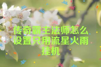 传奇霸主法师怎么设置只用流星火雨挂机