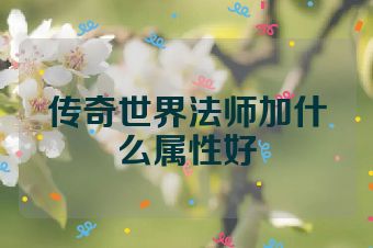 传奇世界法师加什么属性好