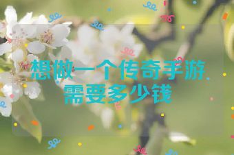 想做一个传奇手游需要多少钱