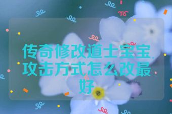 传奇修改道士宝宝攻击方式怎么改最好