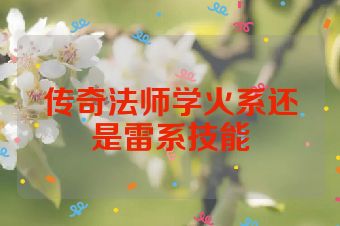 传奇法师学火系还是雷系技能