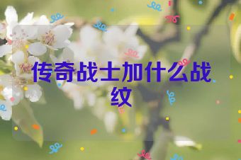 传奇战士加什么战纹
