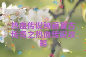 热血传说秘籍复古传奇之热血传说攻略