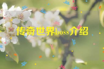 传奇世界boss介绍