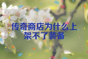 传奇商店为什么上架不了装备
