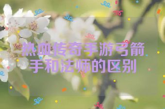 热血传奇手游弓箭手和法师的区别