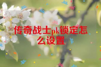 传奇战士pk锁定怎么设置