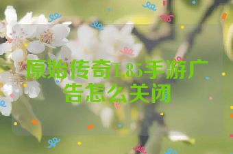 原始传奇1.85手游广告怎么关闭