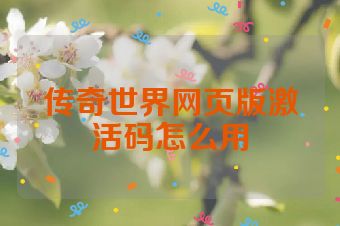传奇世界网页版激活码怎么用