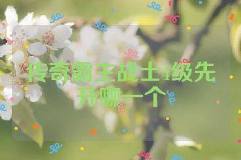 传奇霸主战士4级先升哪一个