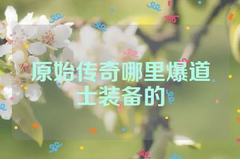 原始传奇哪里爆道士装备的