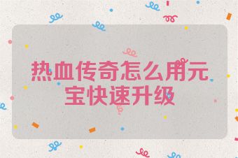 热血传奇怎么用元宝快速升级