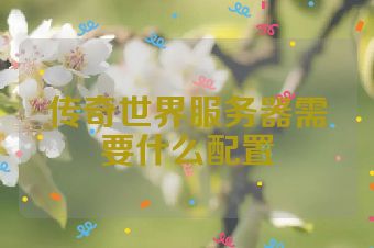 传奇世界服务器需要什么配置