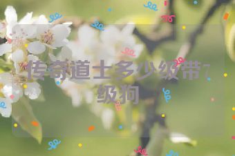 传奇道士多少级带7级狗