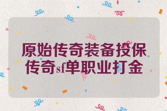 原始传奇装备投保传奇sf单职业打金