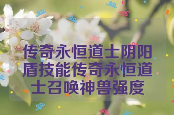 传奇永恒道士阴阳盾技能传奇永恒道士召唤神兽强度