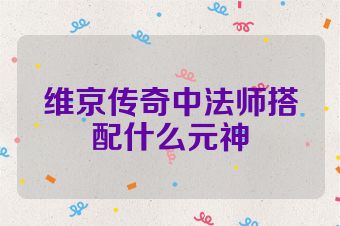维京传奇中法师搭配什么元神