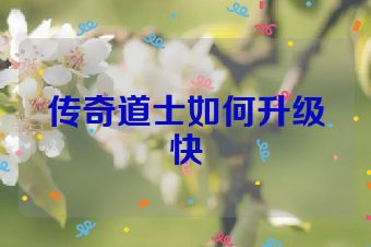 传奇道士如何升级快