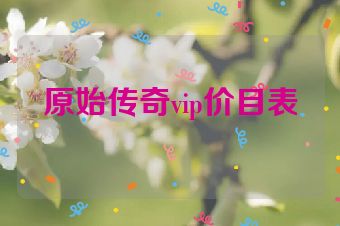 原始传奇vip价目表