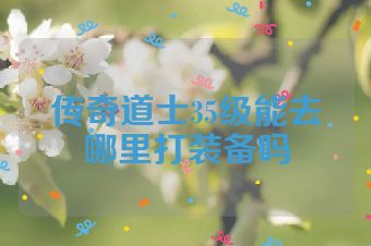 传奇道士35级能去哪里打装备吗