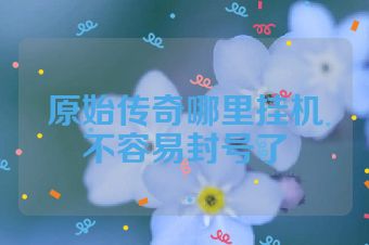 原始传奇哪里挂机不容易封号了