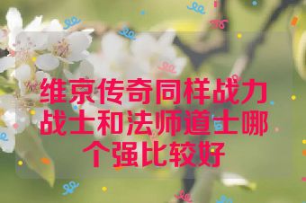 维京传奇同样战力战士和法师道士哪个强比较好