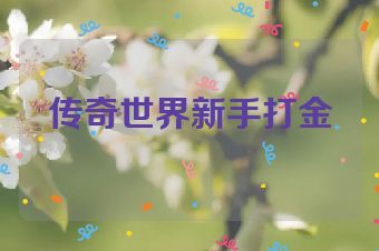 传奇世界新手打金