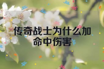 传奇战士为什么加命中伤害